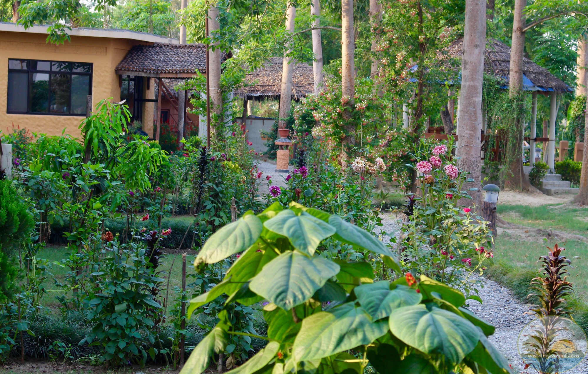 River View Jungle Camp Саураха Экстерьер фото